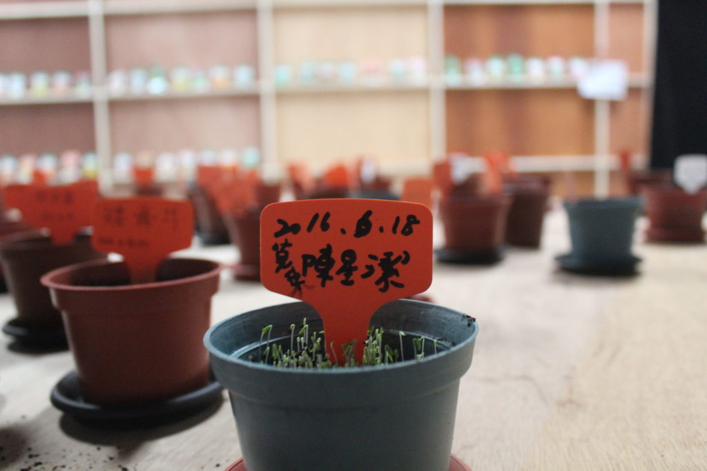 George Clark 'A Planter's Art' exhibition documentation, Soulangh Cultural Park, Taiwan, 2016