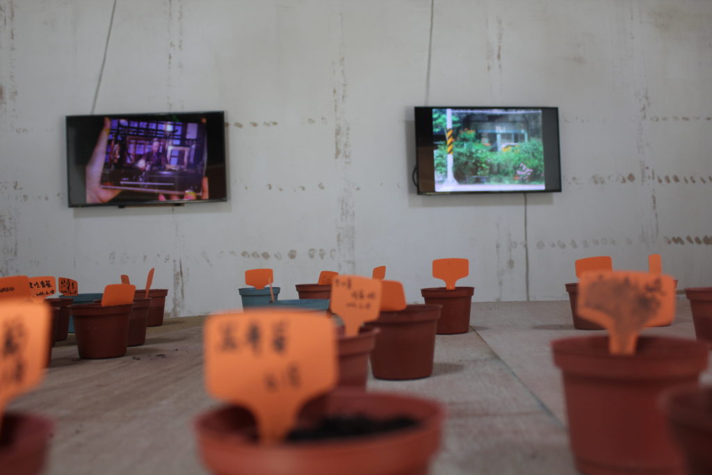 George Clark 'A Planter's Art' exhibition documentation, Soulangh Cultural Park, Taiwan, 2016