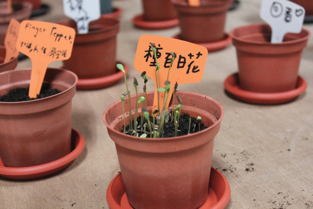 George Clark 'A Planter's Art' exhibition documentation, Soulangh Cultural Park, Taiwan, 2016