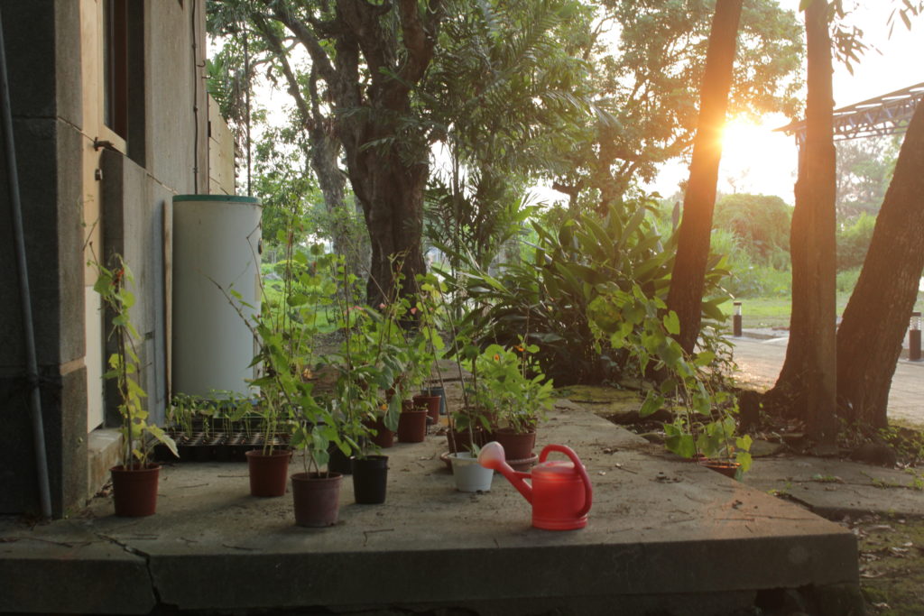 A Planter's Art, Tsung Yeh garden