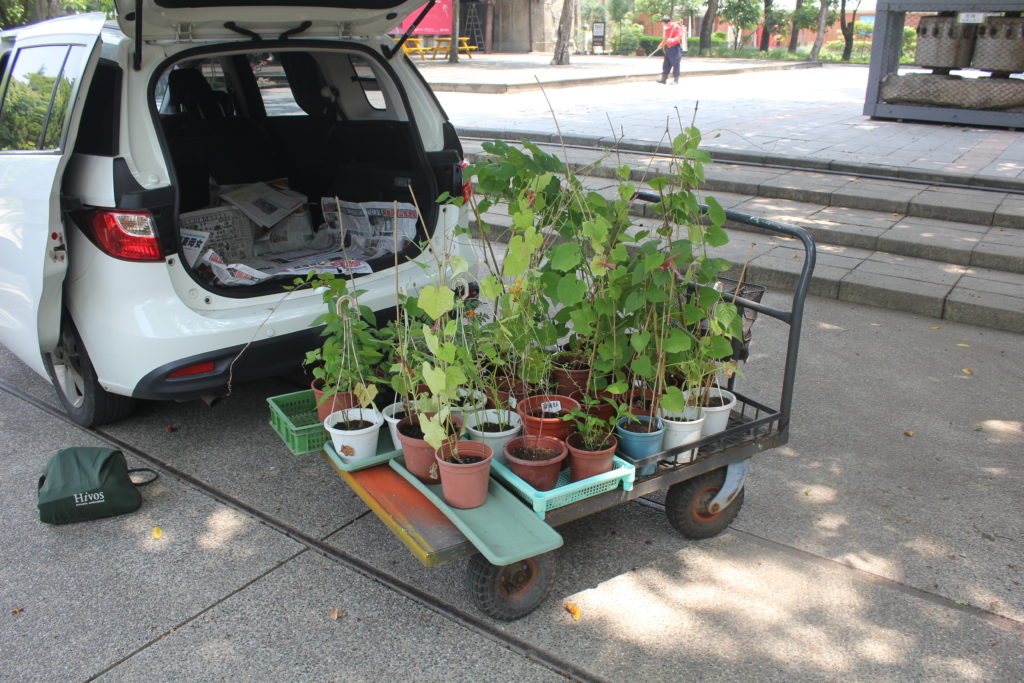 A Planter's Art, garden transport