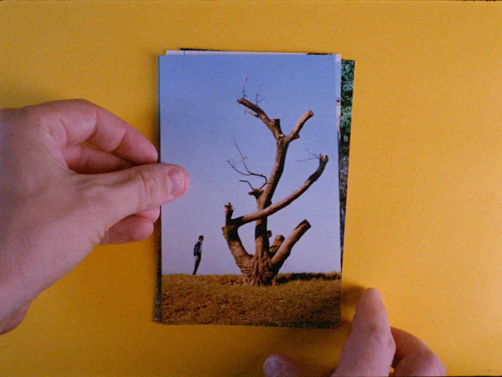 'Inner Sage / Outer King', 35mm frame enlargement, George Clark, France/Taiwan/UK, 2019