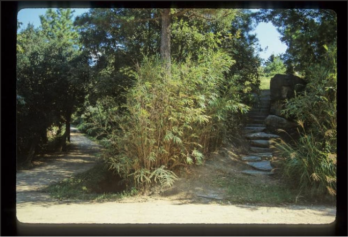 Mure Shikoku, Japan, 1960 – 1988. The Noguchi Museum Archives, 07508 ©INFGM / ARS - DACS